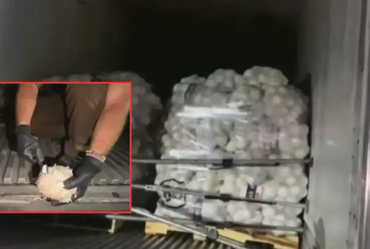 Droga oculta en cebollas: aseguran tractocamión con metanfetamina en Reynosa-San Fernando, Tamaulipas