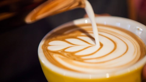 Barista