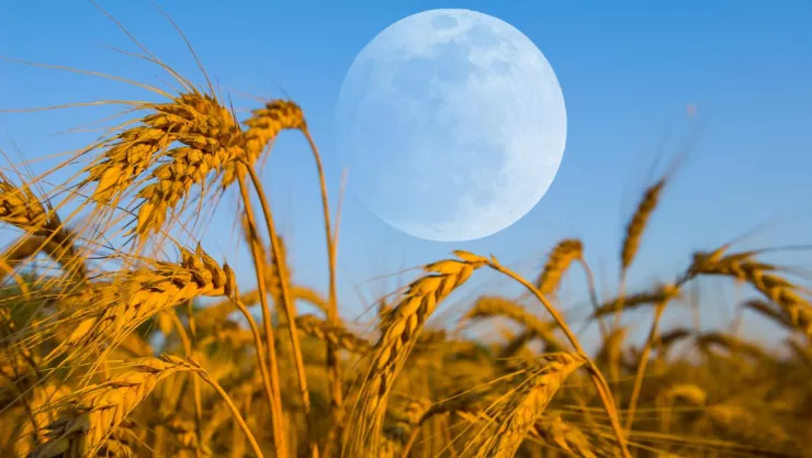 Cuándo es la luna llena en septiembre de 2024: fecha y hora