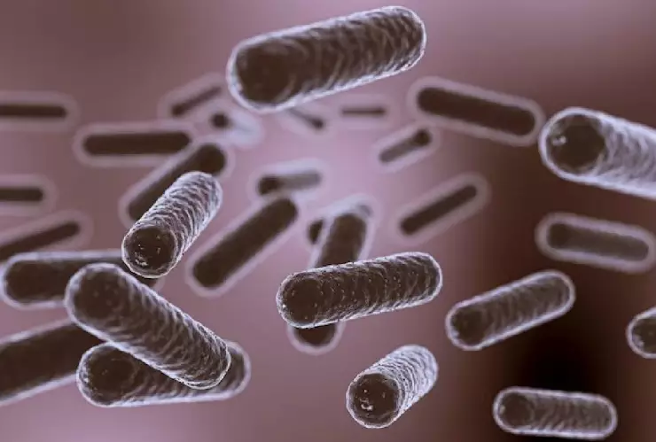 Niño perdió las piernas y los brazos tras contraer una bacteria