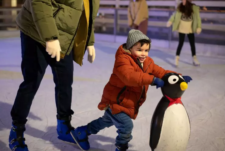Pistas de hielo en CDMX y Edomex