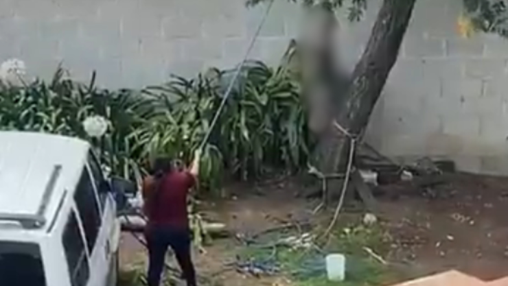 Mujer cuelga a un perrito del cuello a un árbol.