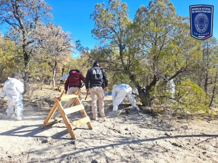 hallan fosa clandestina con 10 cuerpos en Casas Grandes, Chihuahua