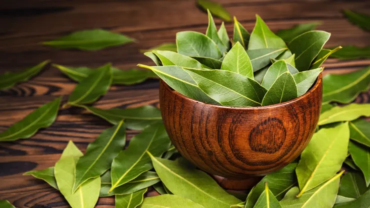 El significado de poner una hoja de laurel dentro de los zapatos