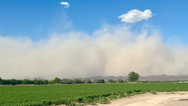 TORMENTA ARENA DELICIAS.jpg