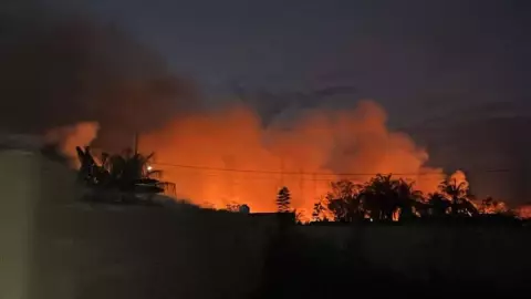 AL MOMENTO_ Bomberos luchan por apagar incendio forestal en Tizimín