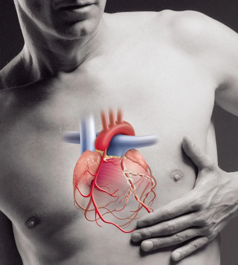 Corazón Kommorbiditaet_RZ.jpg