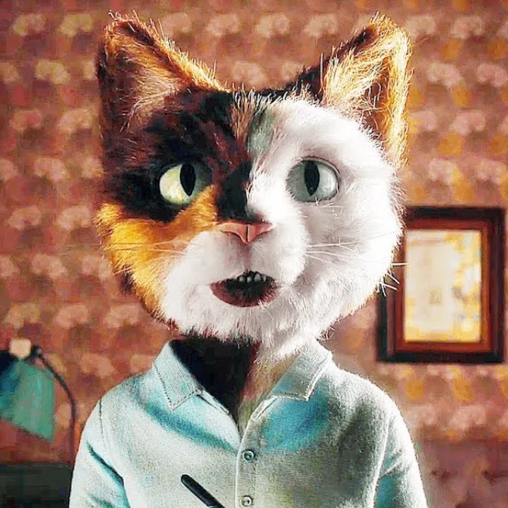 the house serie netflix