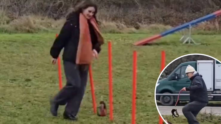 Hobby dogging el trend viral de pasear perros imaginarios.png