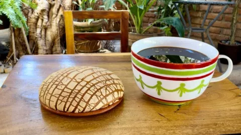 La famosa concha gigante junto a una taza de café de igual tamaño