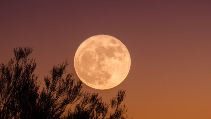 Luna Nueva en Leo hoy 24 de julio: rituales para atraer el amor y la abundancia 