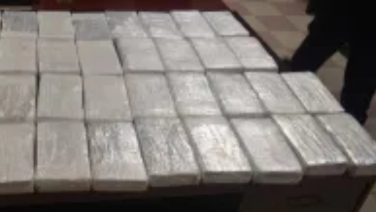 Los paquetes incautados por la CBP