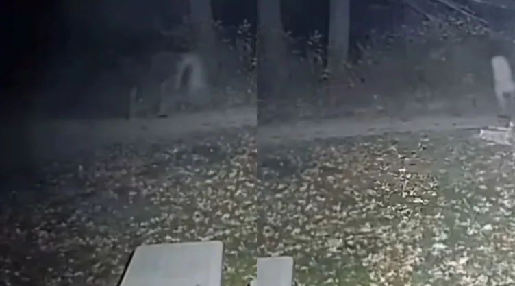 /al-extremo/camara-graba-entidad-caminando-sin-cabeza-patio-casa-video-pb-notas