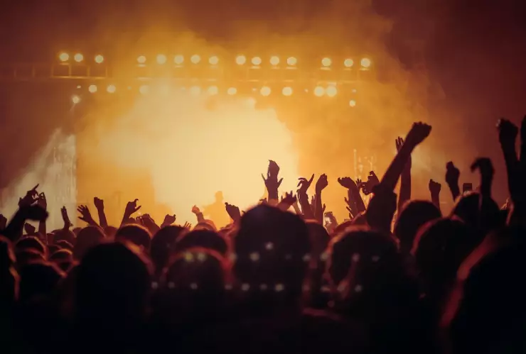 Ritmo y vibraciones es todo lo que se necesita para disfrutar la música, según los expertos