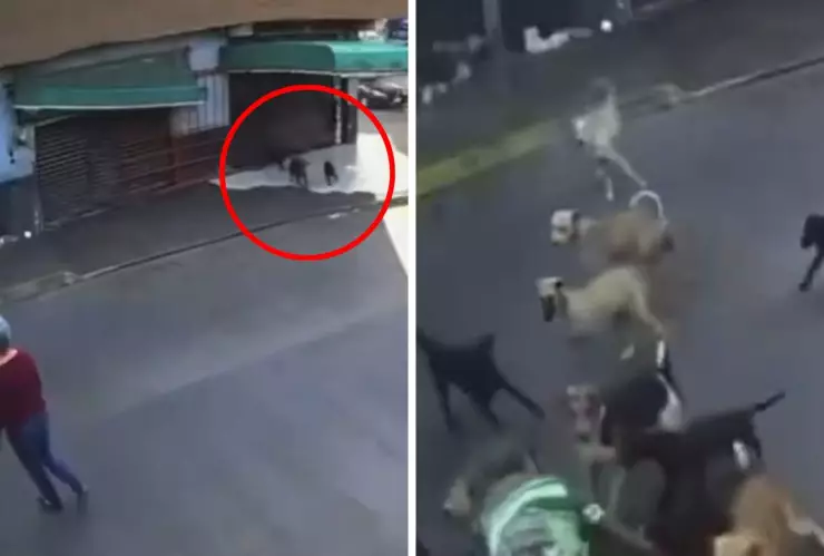 La agresión ocurrió cuando la señora cruzaba esta calle la mañana del 9 de enero