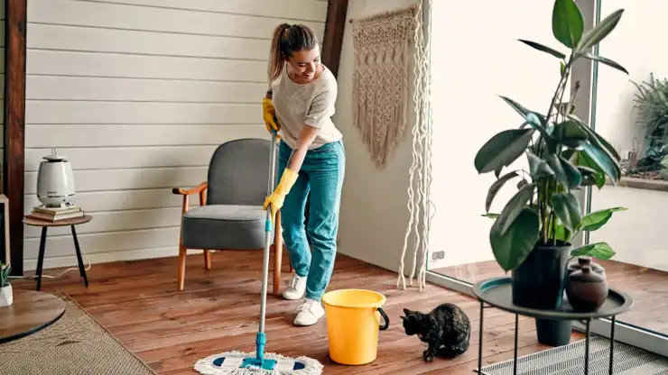 Limpiar la casa es una herramienta excelente para liberar los espacios de malas energias