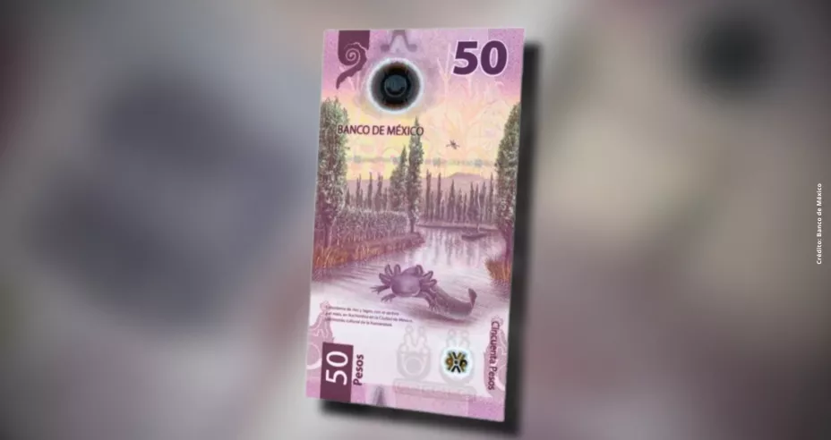 Cuál es el billete de 50 pesos que pagan más de 5,500,000.jpg