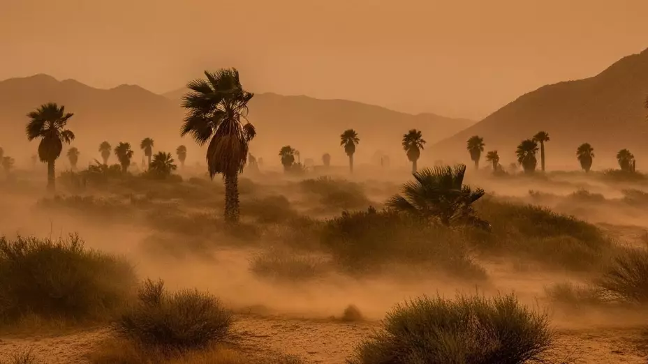 Vientos de Santa Ana