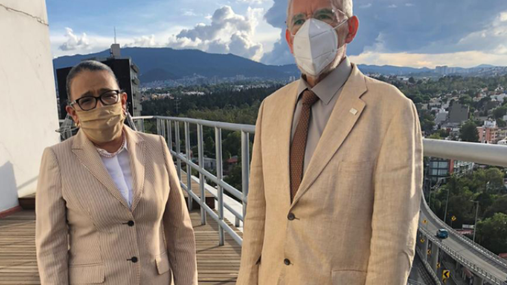 Rosa Icela Rodríguez Velázquez.PNG