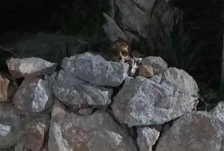 Reportan presunta brujería en Acanceh (FOTO)