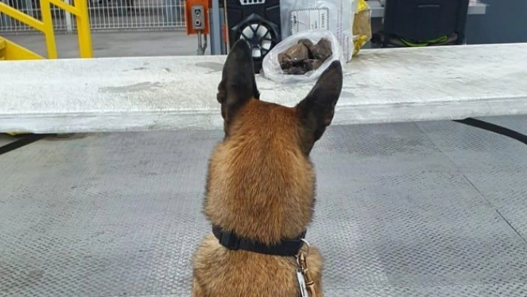 unidad canina.jpg