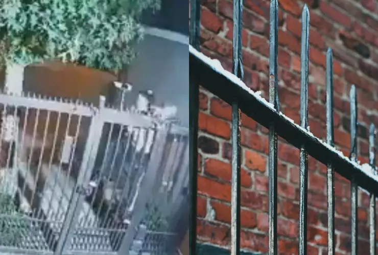 Mujer se atora en reja al tratar de robar casa