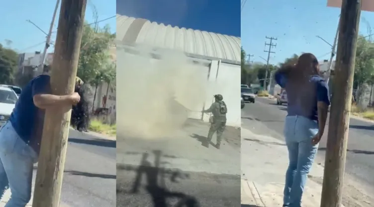 Mujer resulta gravemente herida tras ataque masivo de abejas en colonia Pemex, Culiacán
