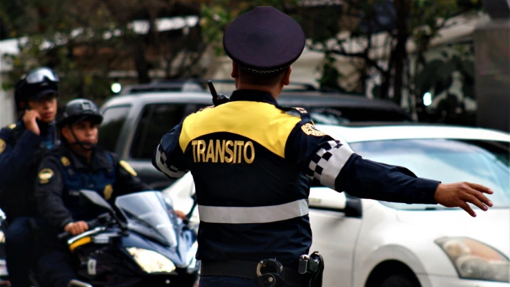tránsito