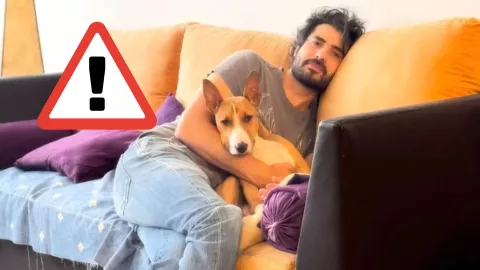 Instagram: @rosaurabichir