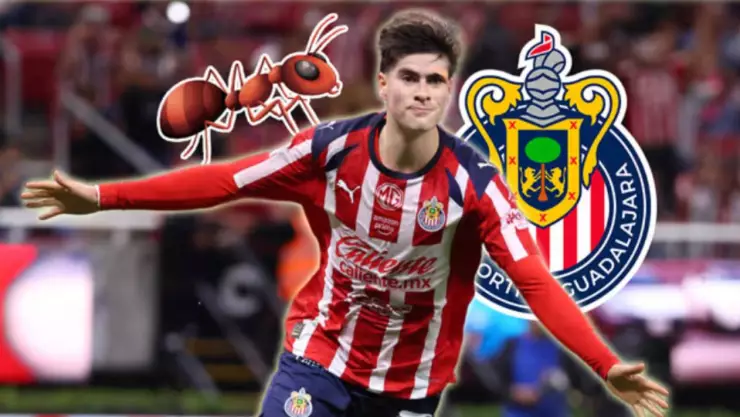 Chormiga armando.jpg