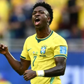 Vinicius
