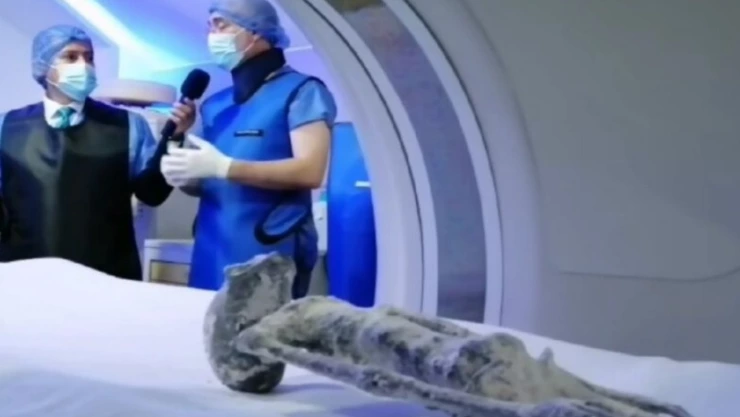 WhatsApp Image 2023-09-20 at 4.45.18 PM.jpeg