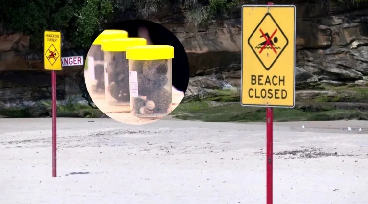 australia-bolas-playas-de-que-son