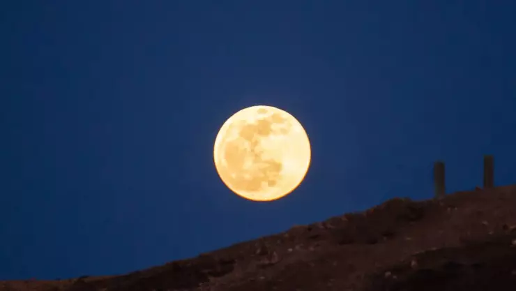 Luna del Cazador 2024