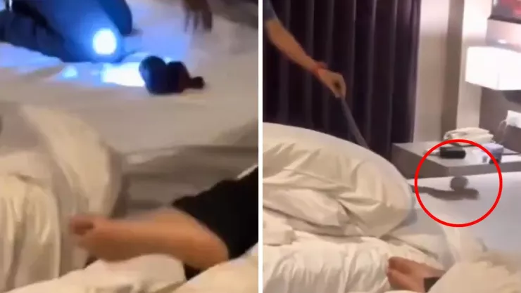 La pareja vivió momentos de tensión al descubrir la serpiente en su habitación