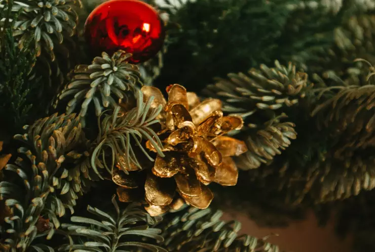 Dónde-comprar-árboles-de-Navidad-en-la-CDMX-este-2023