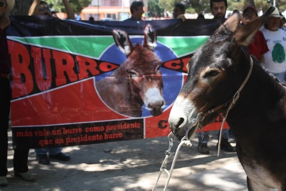 El candidato por Ciudad Juárez, Burro CHON, comenzó su campaña electoral el domingo pasado frente al Monumento a Benito Juárez de la localidad