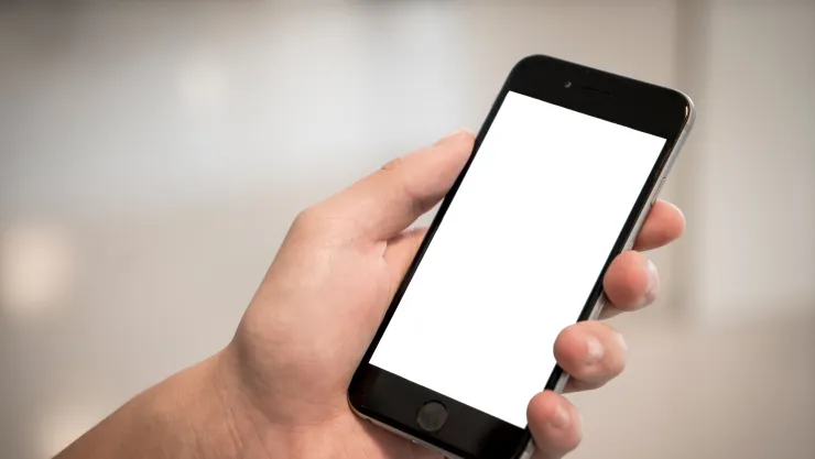 ¿Cuántas líneas telefónicas ya han sido registradas en México?