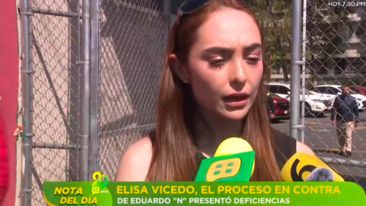 elisa-vicedo-nombro-nuevos-abogados-caso-contra-eduardo-n