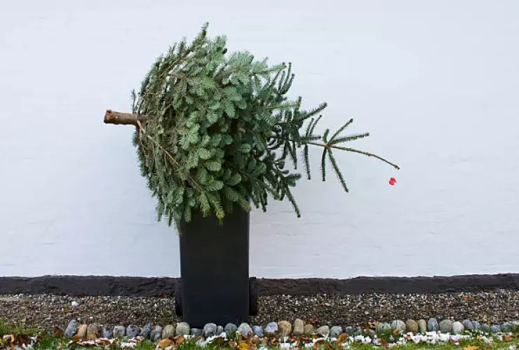 Árbol Navidad en Basura