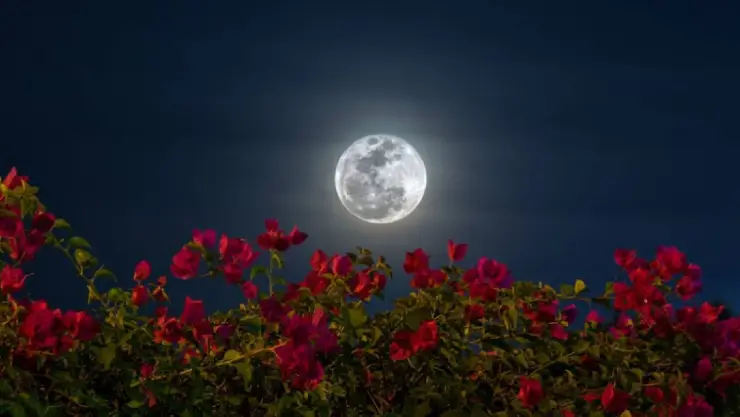 Luna de Flores 2025: Cuándo verla en México este mayo 2025 | Evento astronómicos