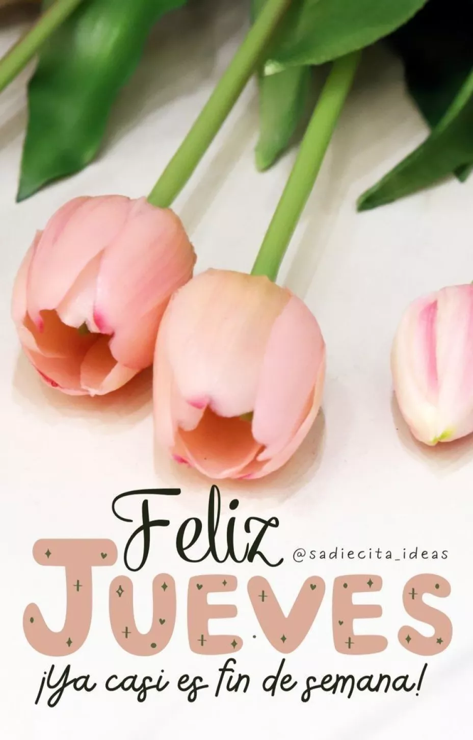 Imágenes de “Buenos días y feliz jueves” para WhatsApp y redes sociales