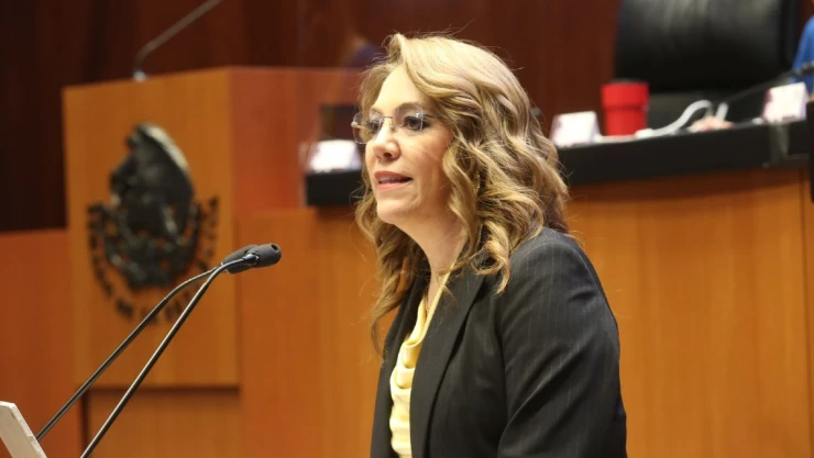 Blanca Lilia Ibarra INAI Senado