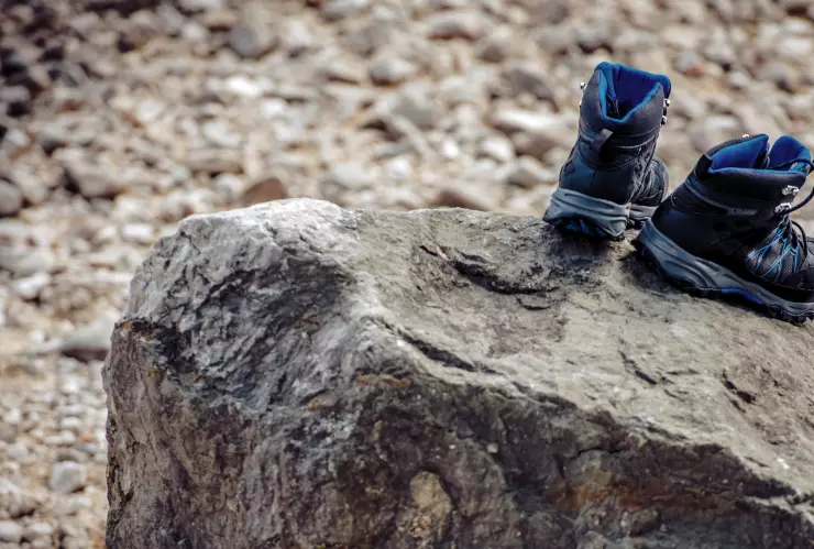 La Senda del Arriero en Guanajuato Un viaje cultural y sostenible que conecta historia y naturaleza.png