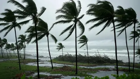 ¿En qué zonas se concentrarán las lluvias? Así estará el clima en el estado de Veracruz hoy 20 de octubre de 2025