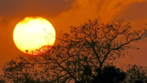 Cuando inicia el solsticio de verano 2025 en Mexico