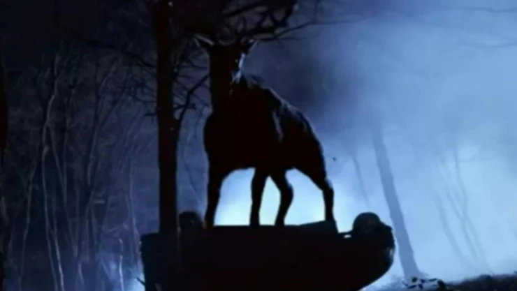 WhatsApp Image 2025-03-06 at 5.04.53 PM.jpeg