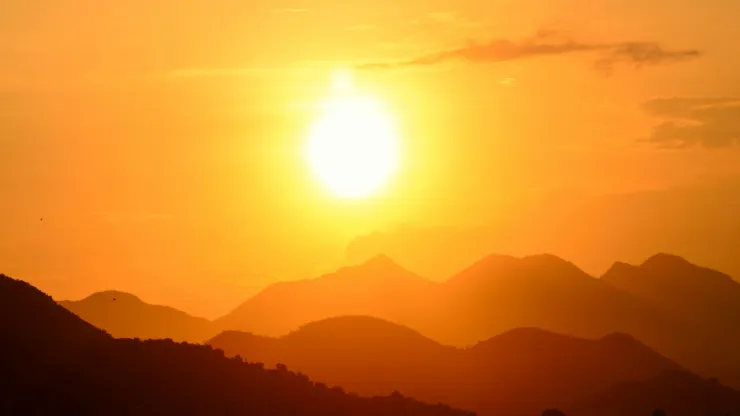 ¡Calor extremo los ‘rostiza’! En San Luis Potosí se registra muerte masiva de aves