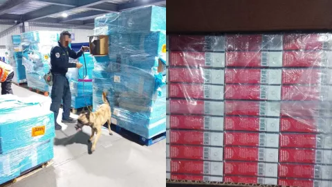 Marina asegura millón y medio de cigarros en el AICM; querían evitar impuestos