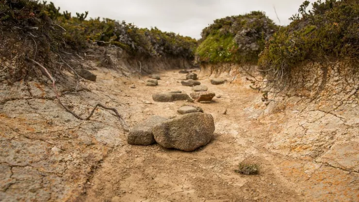 ¿Qué es el fenómeno de La Niña y cómo afectará a Aguascalientes?